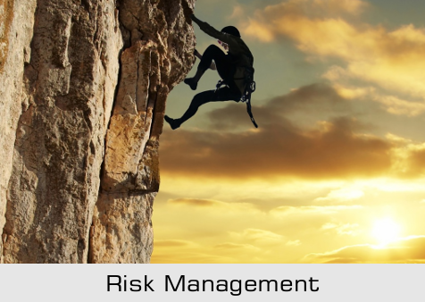 Risk