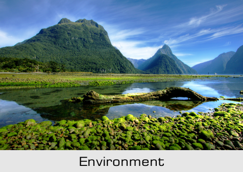Environment